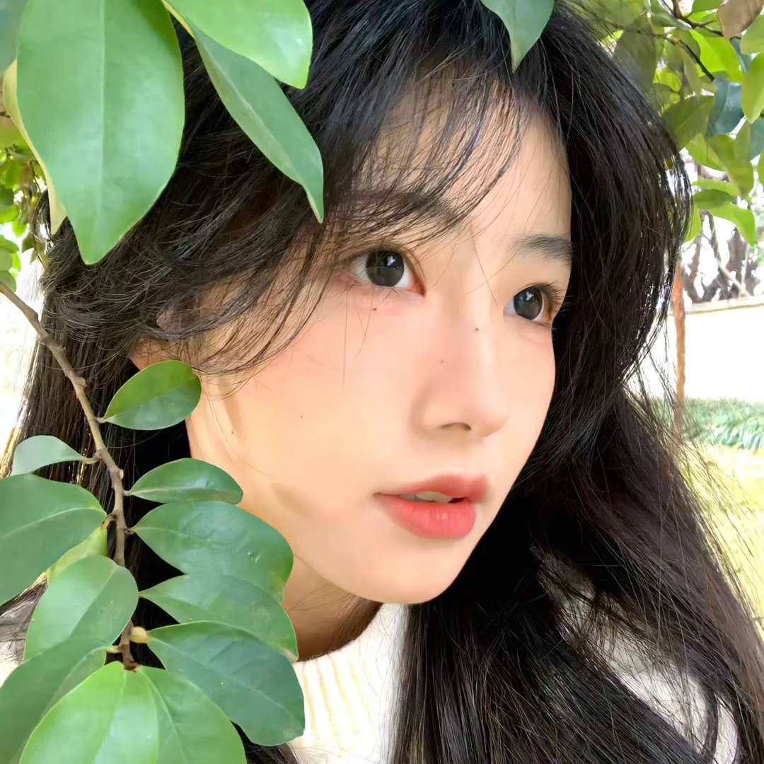 我的女官大人