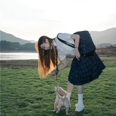 顽皮豹医生